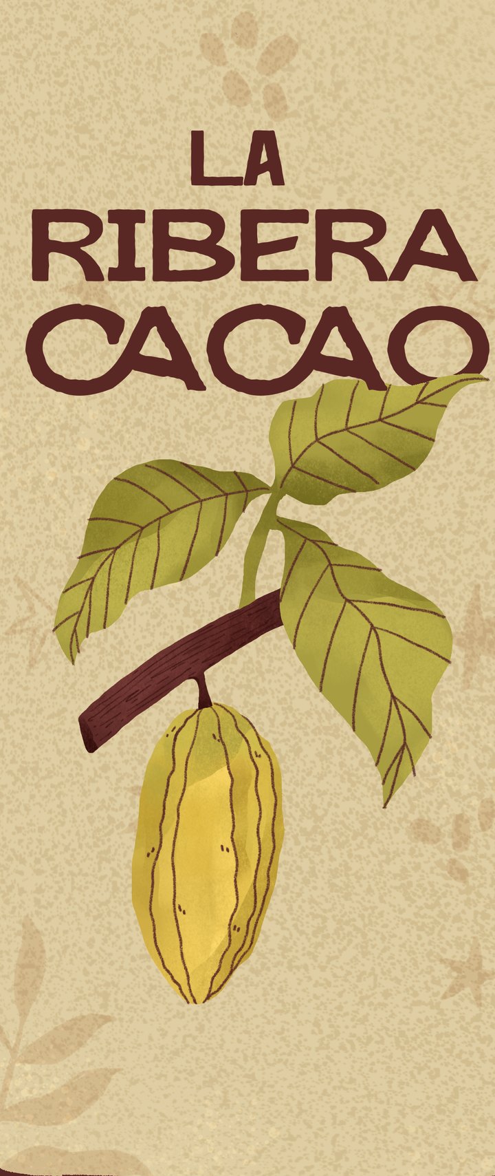 Ilustración de una rama de cacao con hojas y una mazorca amarilla. La Ribera Cacao.